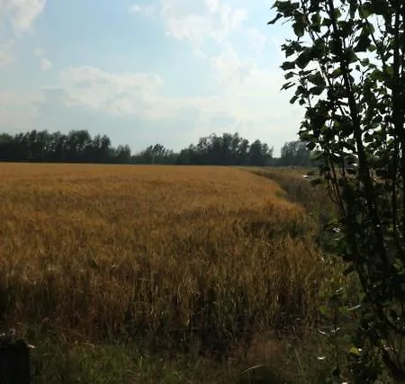 Kamp alanı Pipowagen Vlinder Bij Pipowagen & Kampeerhoeve S Gravenhof *