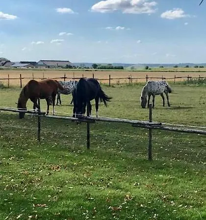 Pipowagen Vlinder Bij Pipowagen & Kampeerhoeve S Gravenhof * Netterden
