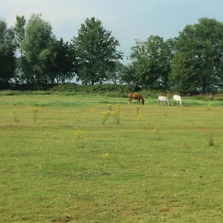 Pipowagen Vlinder Bij Pipowagen & Kampeerhoeve S Gravenhof Campsite *