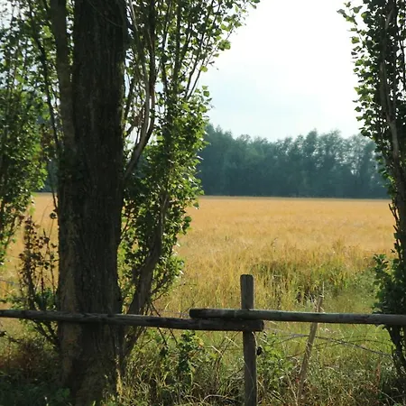 Pipowagen Vlinder Bij Pipowagen & Kampeerhoeve S Gravenhof