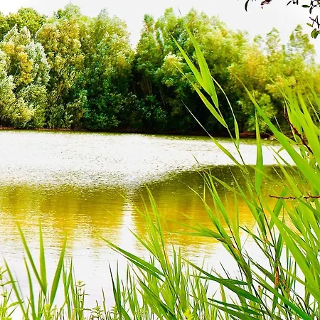 Pipowagen Vlinder Bij Pipowagen & Kampeerhoeve S Gravenhof Campsite *