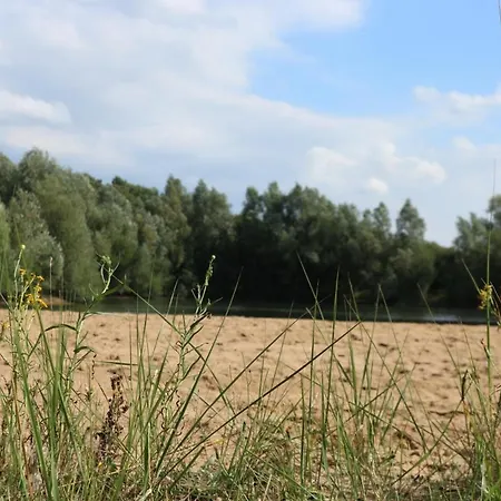 Campsite Pipowagen Vlinder Bij Pipowagen & Kampeerhoeve S Gravenhof *