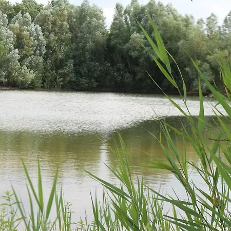 Pipowagen Vlinder Bij Pipowagen & Kampeerhoeve S Gravenhof *
